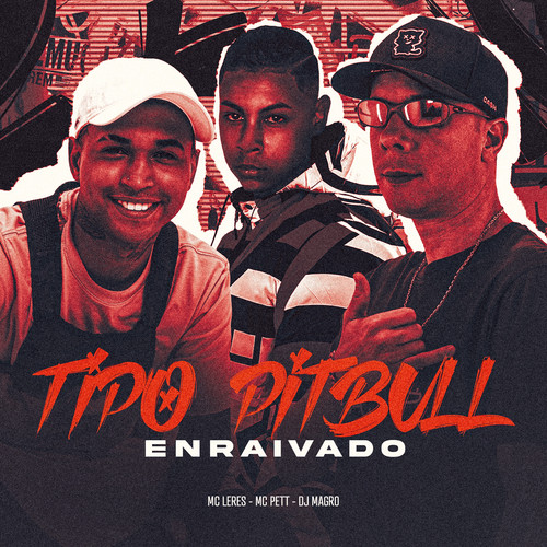 Tipo Pitbull Enraivado (Explicit)