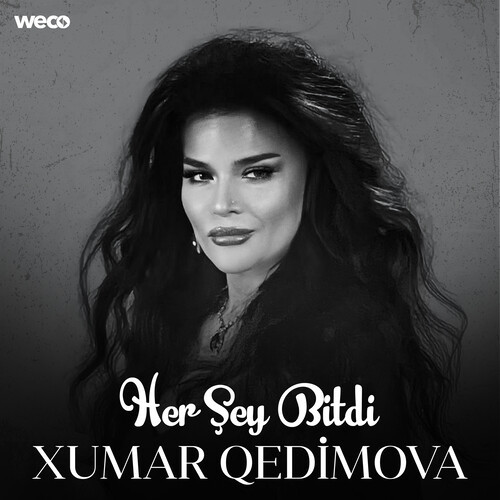 Her Şey Bitdi