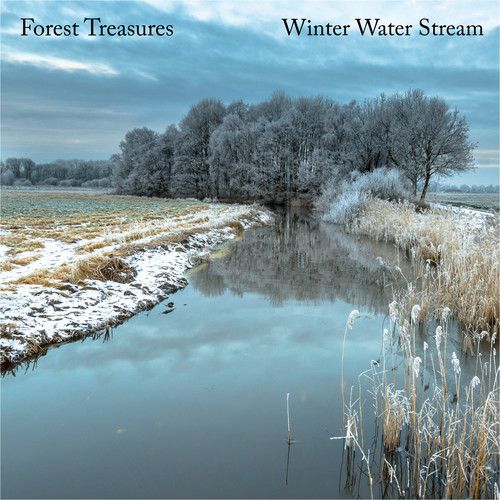 Winter Water Stream