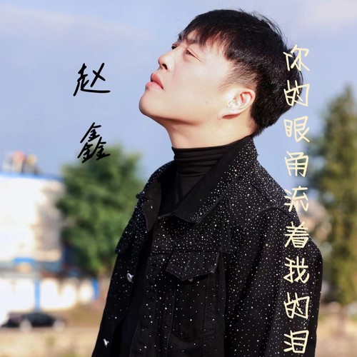 你的眼角流着我的泪赵鑫