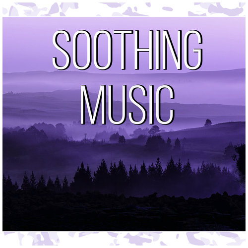 Soothing Music – Harmony, Nature Sounds, Pacific Ocean Waves for Well Being and Healthy Lifestyle, Y