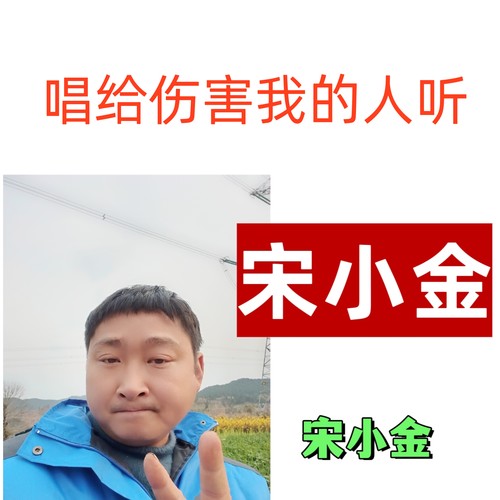 唱给伤害我的人听