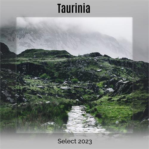 Taurinia