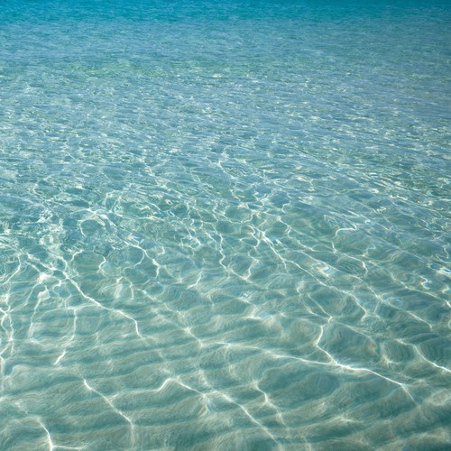 Crystal Clear Currents: Songs of Pure Water Tranquility