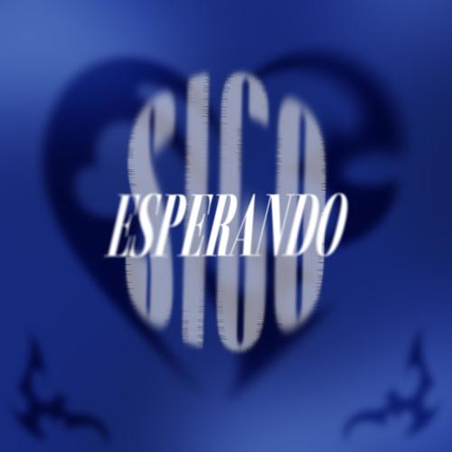 Sigo Esperando </3 (feat. Young Saint)