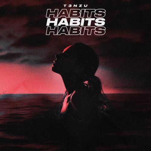 Habits (Stay High)