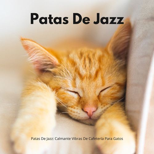 Patas De Jazz: Calmante Vibras De Cafetería Para Gatos