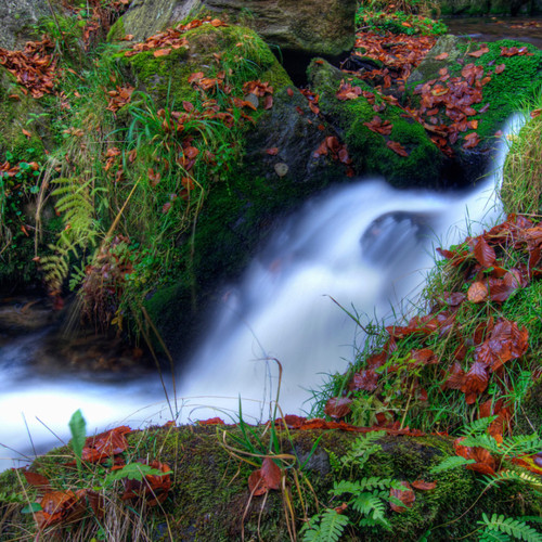 Relaxing Music: Rhythms of Watery Bliss