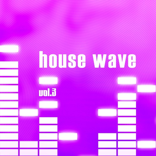 House Wave, Vol. 3