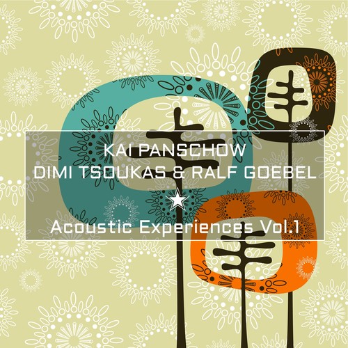 Acoustic Experience Vol.1