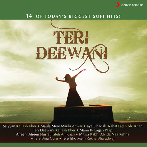 Teri Deewani