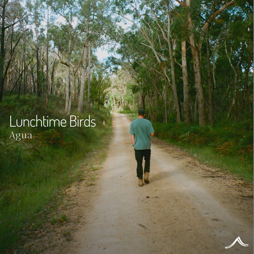 Lunchtime Birds