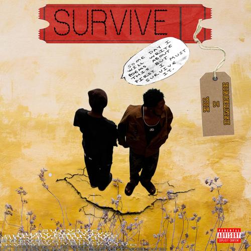 Survive (feat. Ydk)