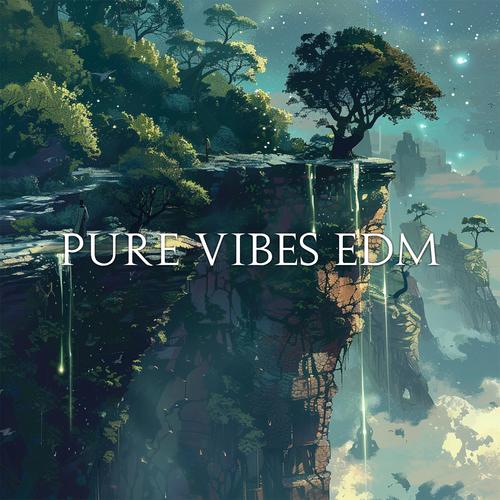 Pure Vibes EDM