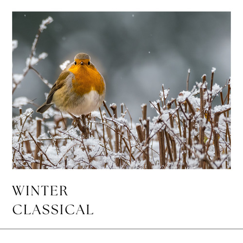 Winter Classical