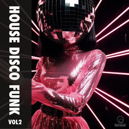 House Disco Funk Vol 2 (Explicit)