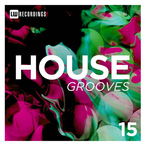 House Grooves, Vol. 15