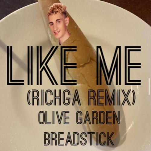 Like Me (Richga Remix) [Explicit]