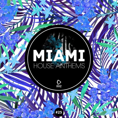 Miami House Anthems, Vol. 25