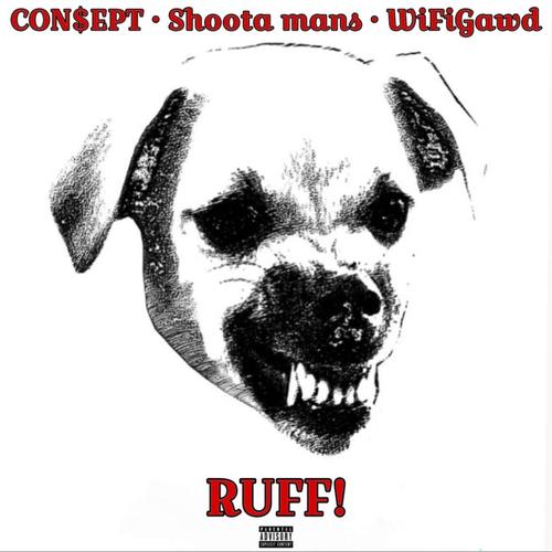 RUFF (feat. Con$ept & WiFiGawd) [Explicit]