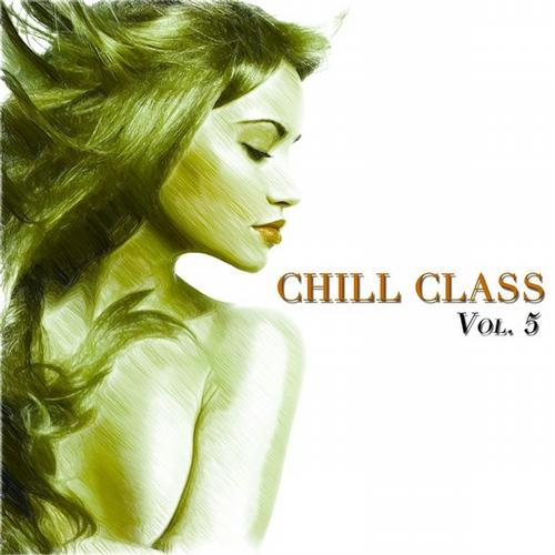 Chill Class Vol. 5 (A Fine Selection of Chill)