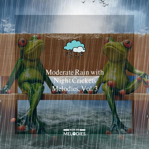 Moderate Rain with Night Crickets Melodies, Vol. 3