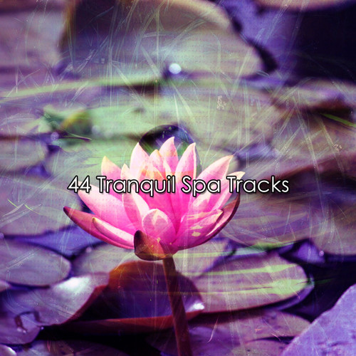 44 Tranquil Spa Tracks