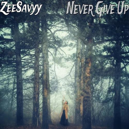 Never Give up