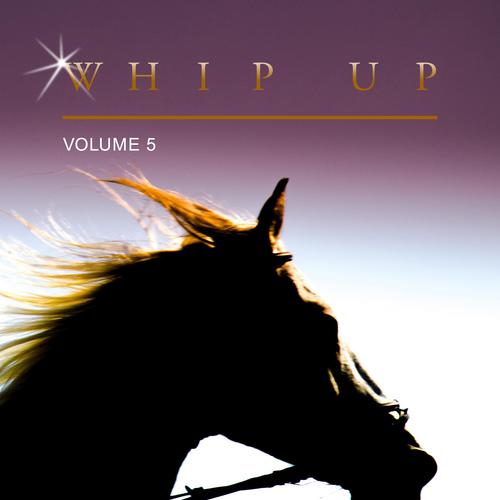 Whip Up, Vol. 5