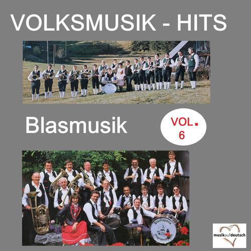 Volksmusik-Hits: Blasmusik, Vol. 6