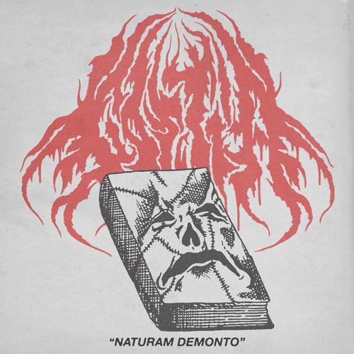 Naturam Demonto