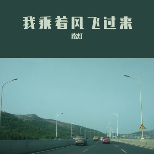 我乘着风飞过来