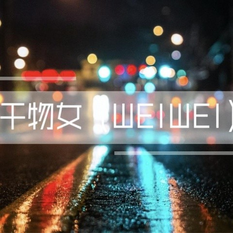 干物女WeiWei（Remix）