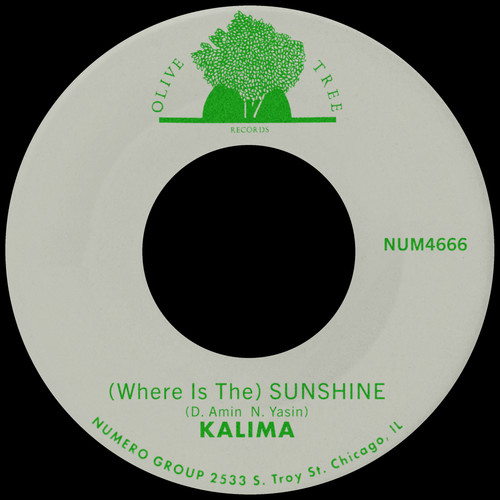 (Where Is The) Sunshine