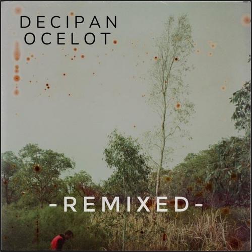 OCELOT REMIXED (Explicit)