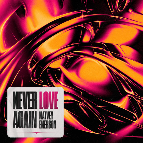 NEVER LOVE AGAIN