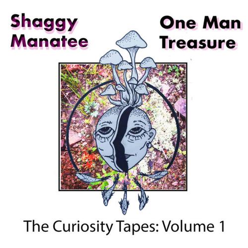 Curiosity Tapes, Vol. 1