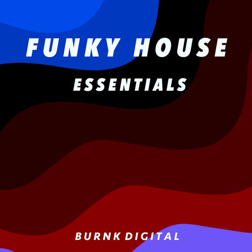 Funky House Essentials 8