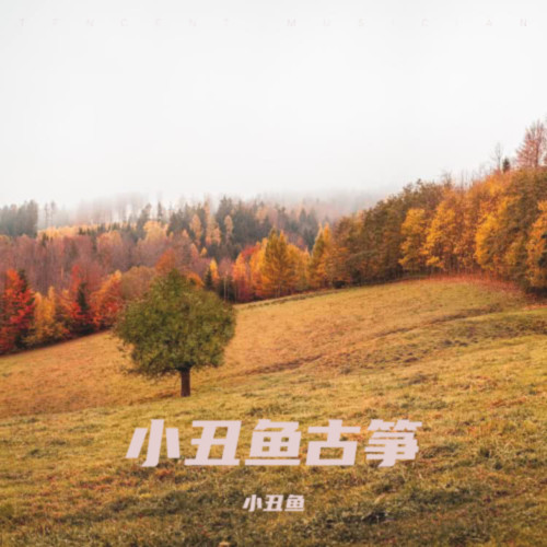 小丑鱼古筝