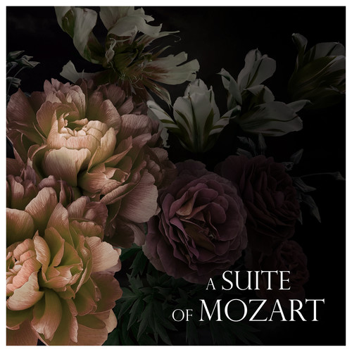 A Suite of Mozart