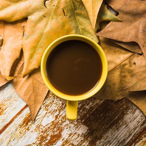 Golden Leaves & Smooth Jazz: The Essence of Autumn in a New York Café