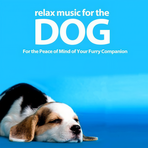 Relax Music for the Dog (For the Peace of Mind of Your Furry Companion)