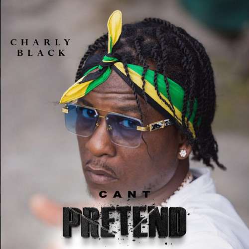 Cant Pretend (Explicit)