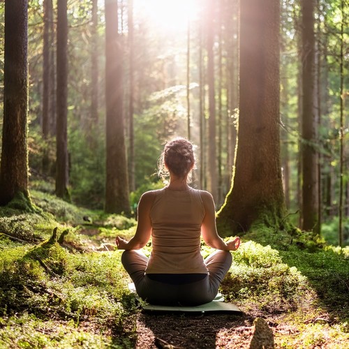 Sonidos Tranquilos Para Mejorar La Concentración En La Meditación