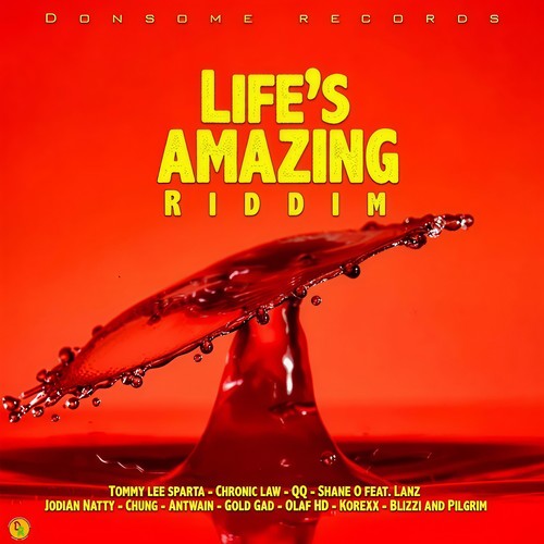 Life's Amazing Riddim (Explicit)