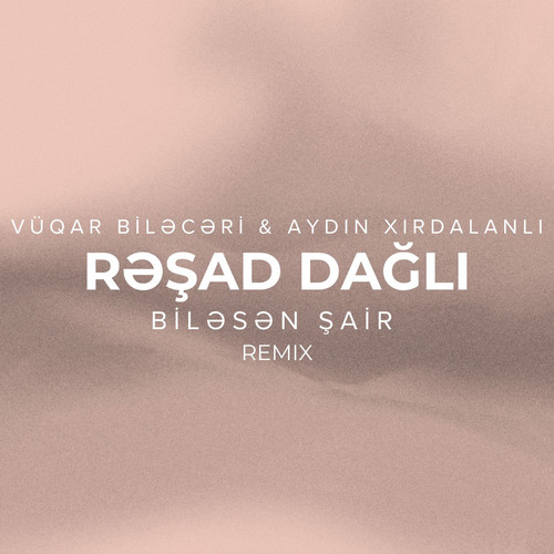 Biləsən Şair (Remix)