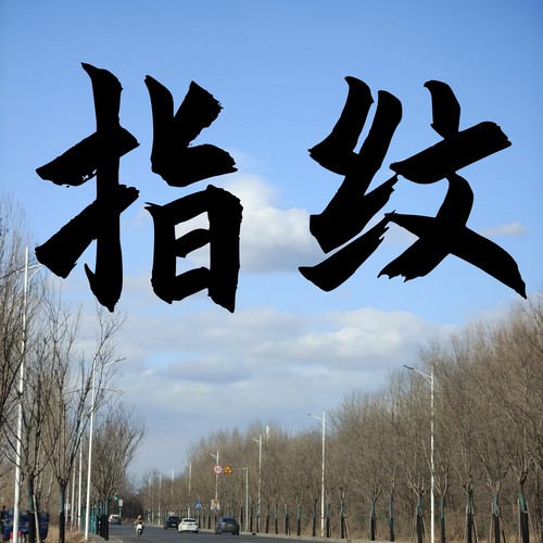 指纹 (氛围版)