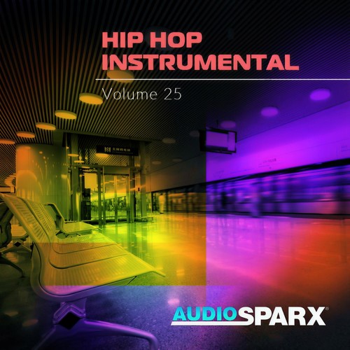 Hip Hop Instrumental Volume 25