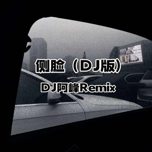 侧脸 (DJ版)
