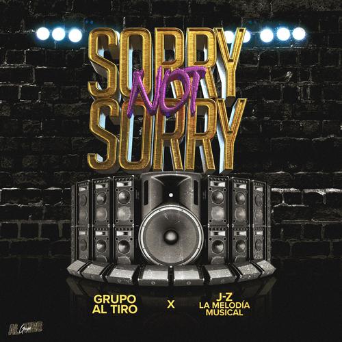 Sorry Not Sorry (feat. J-Z La Melodia Musical) [Explicit]